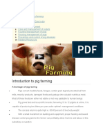 Introduction To Pig Farming
