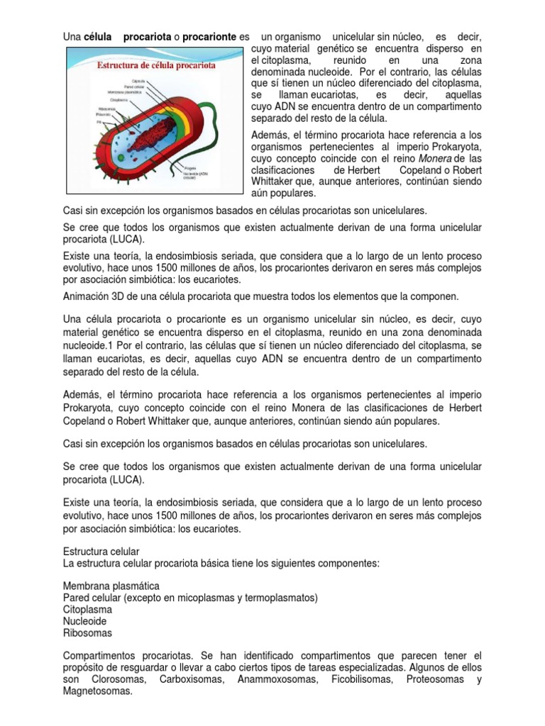 Células: Procariotas vs Eucariotas | PDF | Procariota | Biología Celular)
