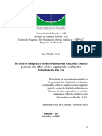 CRUZ, Lia Mendes. Territórios indígenas e desenvolvimento na Amazônia Central peruana um olhar sobre a rganização política dos Ashaninka do Rio Ene.pdf