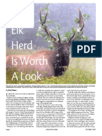 PA's Elk Herd Is Worth A Look: John Fulmer