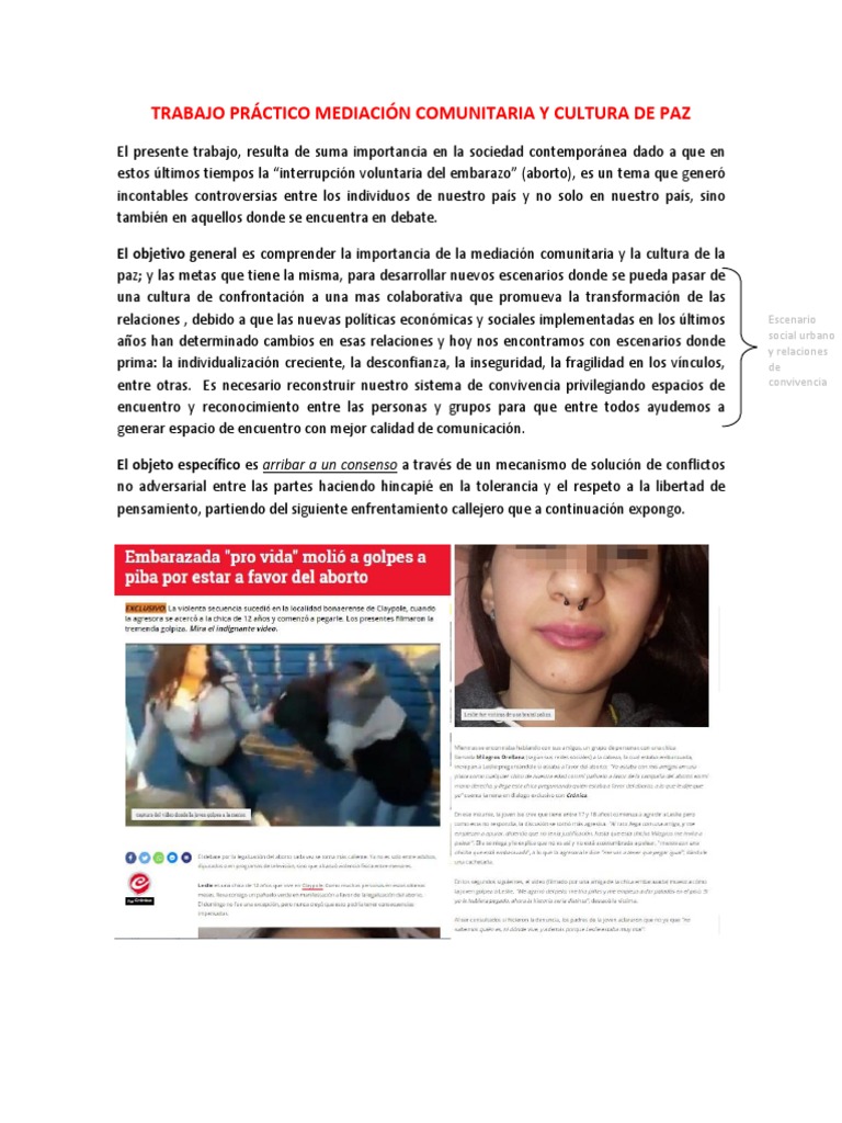 Trabajo Práctico Mediación Comunitaria y Cultura de Paz | PDF ...