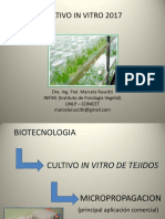 Cultivo in Vitro 2018