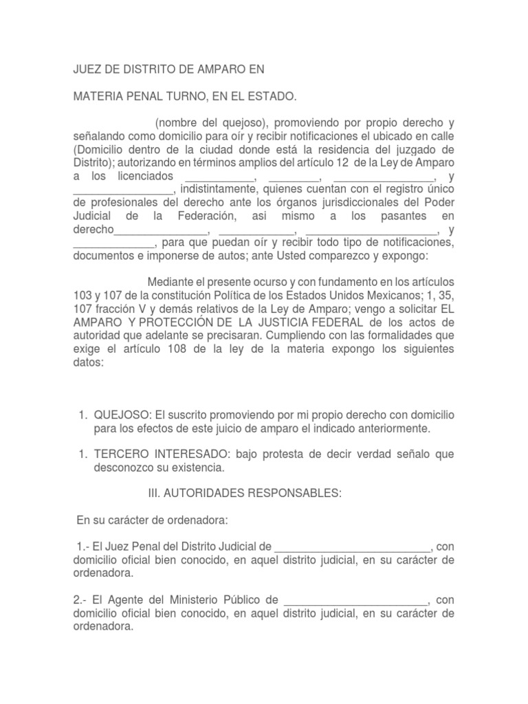 Amparo Contra Orden de Aprehension | PDF | Violación | Estado (política)