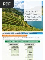 2 Fatores Condicionam Agricultura