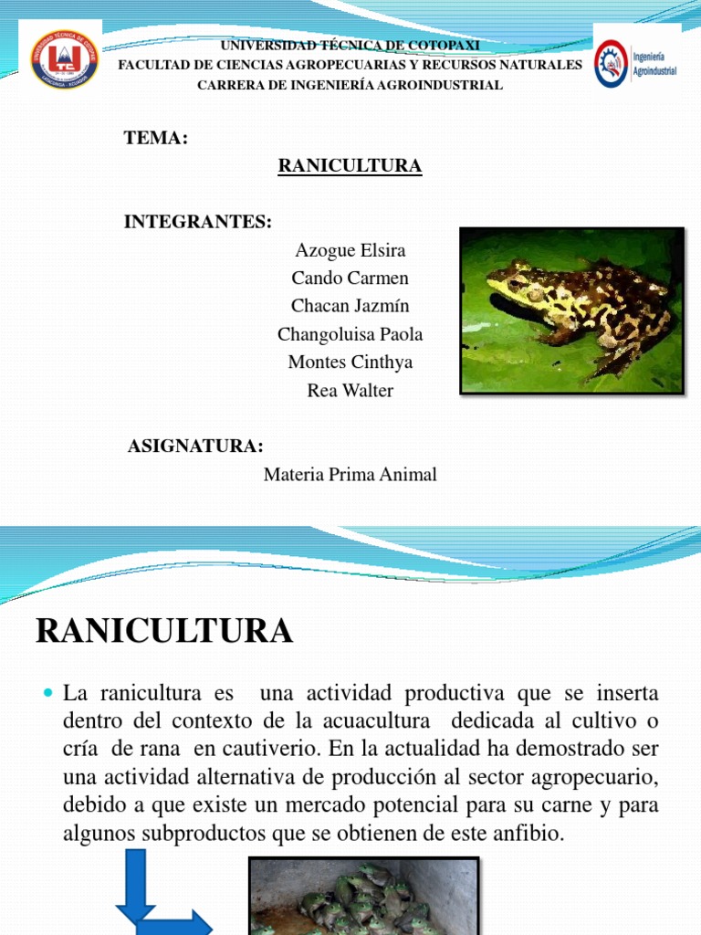 Introducción a la Ranicultura | PDF | Rana | Carne