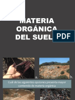 Presentación Materia Orgánica Del Suelo