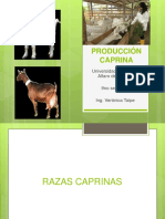 Producción caprina-Razas productoras de leche y carne