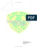 Proyecto Tunel Roger Holmberg (Giovanni Peralta)