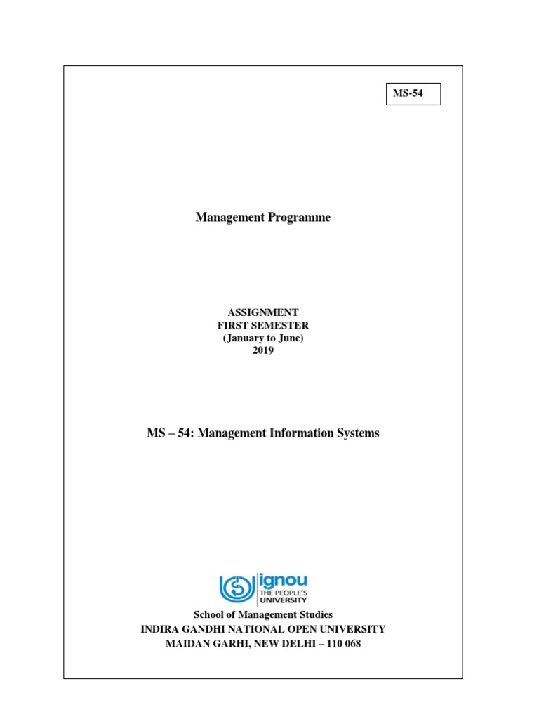 Management Information Systems Assignment | PDF