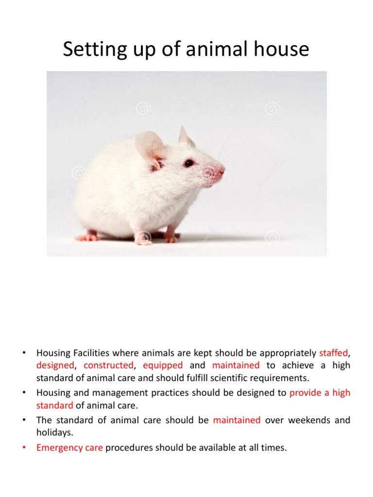 Setup Animal House-1 | PDF | Air Conditioning | Hygiene