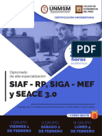C-1 - DIPLOMADO - SIAF, SIGA, SEACE - IPAPPG - 2019 Copia-Min PDF