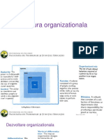 6 - Structura Organizationala