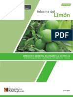 boletin-informe-limon (3).pdf