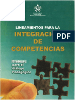 Lineamientos para La Intergracion de Competencias