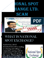 National Spot Exchange Ltd. Scam