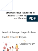 Structures and Functions of Animal Tissues and Cell Modification