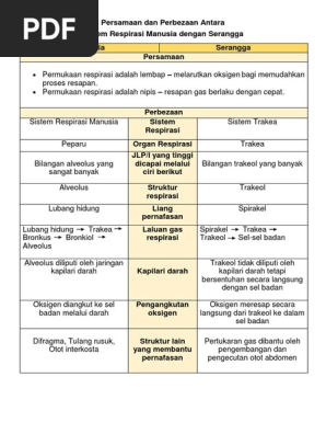 Struktur Respirasi Manusia dan Organisma Lain