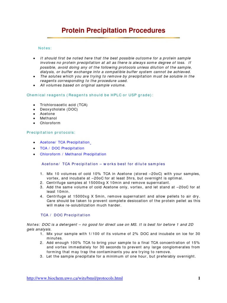Protein Precipitation Procedures PDF Precipitation (Chemistry