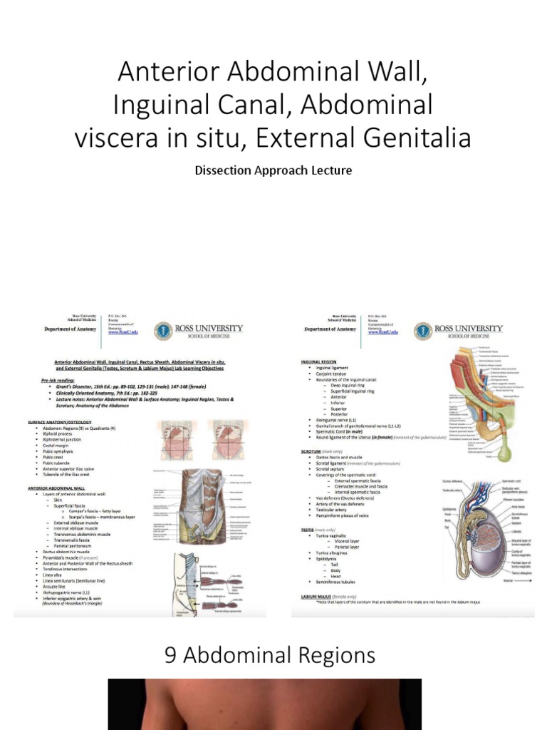 Cum poți face sex cu un Penis Subțire? Iată cum să-i oferi orgasm natural..