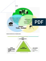 Triada Ecológica Del Dengue