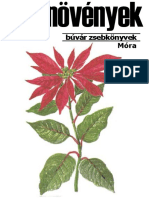 Dísznövények PDF