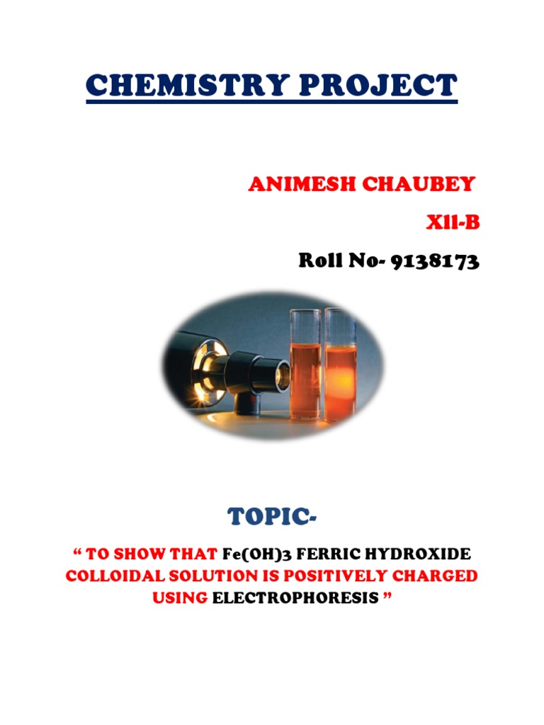 Chemistry Project Animesh Chaubey XLLB PDF