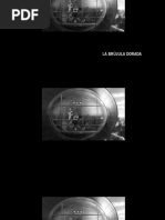 Brujula Dorada 3242 PDF