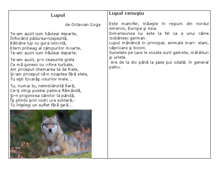 Lupul | PDF