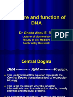 Structure and Functions of DNA