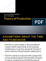 Theory of Production