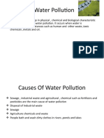 2.water Pollution