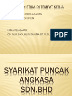 Syarikat Puncak Angkasa SDN, Bhd.