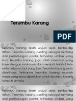 Terumbu Karang