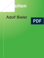 Brasilien by Bieler, Adolf