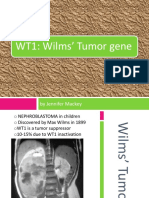 wilms tumor
