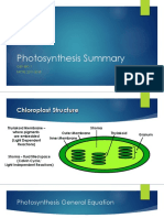 Photosynthesis Summary
