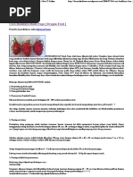Download Cara Budidaya Buah Naga  D by greenlite16 SN39833348 doc pdf