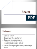 Enzim (PPT) 1