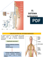 Sistema Nervioso