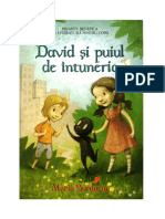 -David-Si-Puiul-de-Intuneric.pdf