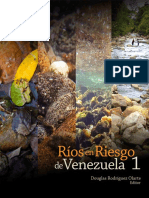2017_Rios_Riesgo_Venezuela_V1_libro_baja.pdf
