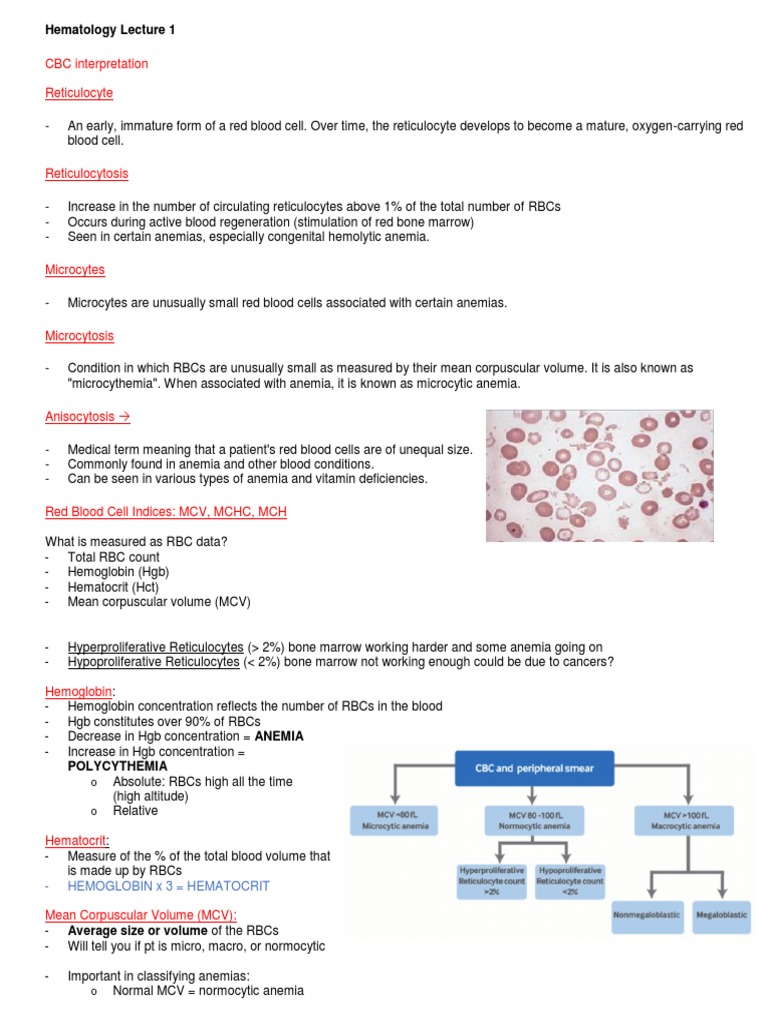 Hem/Onc Lecture 1 | PDF | Anemia | White Blood Cell