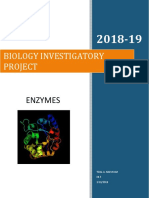 Biology Investigatory Project: Enzymes