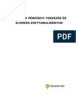 0060 Komplex Penzugyi Tervezes Es Elemzes Esettanulmanyok PDF