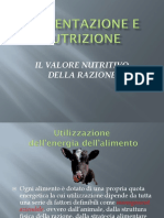 Alimentazione e Nutrizione I