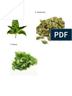 10 Plantas Medicinales y para que sirven.docx