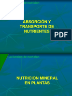 Nutriciòn Mineral en Plantas PDF