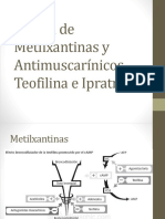Acción de Metilxantinas y Antimuscarínicos