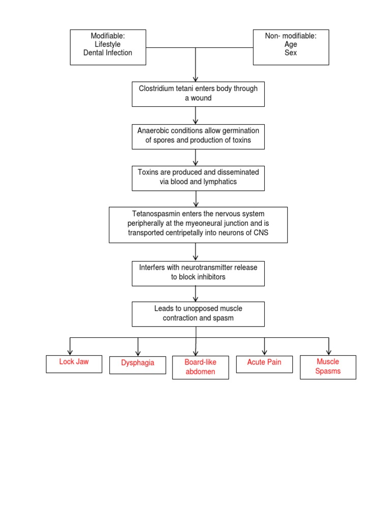 Lock Jaw Dysphagia BoardLike Abdomen Acute Pain Muscle Spasms PDF