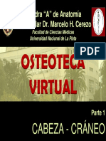 1CABEZA.pdf